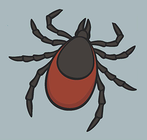 lymedisease2